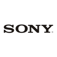 Sony - New Media Group